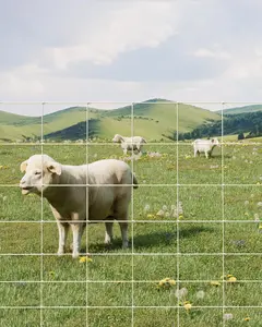 9GA Cattle Farm Fence, 4 ft x 164 ft Galvanized Goat Deer Fence, Heavy Zinc Coating Hog Wire Fencing for Farm Livestock Animals Protection (4 ft x 164 ft)