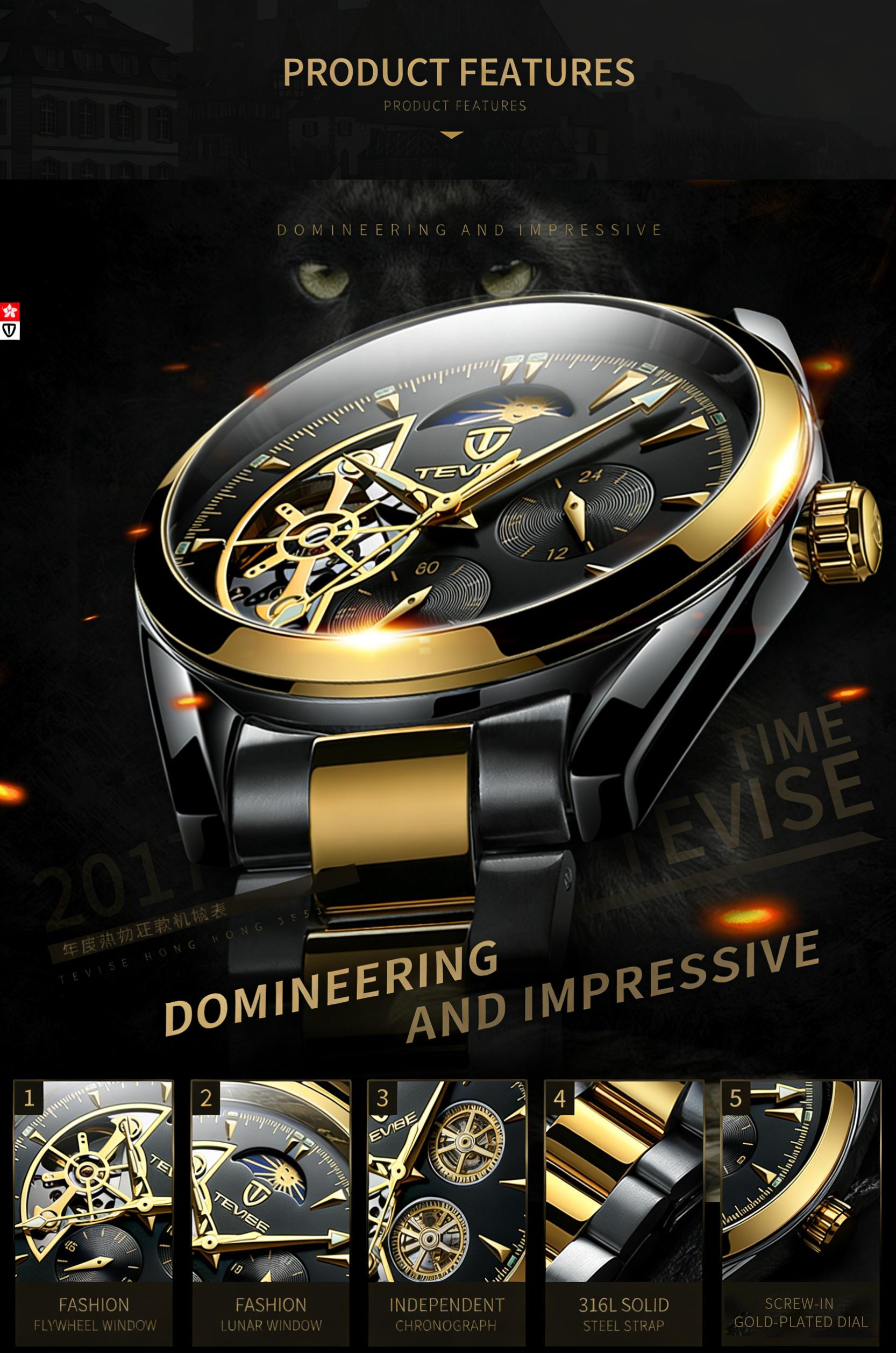 Luxury Men's Skeleton Watch, Moon Phase, Automatic Movement, Business Stainless Steel Wristwatch