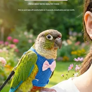 Parrot Anti-Flight Harness Chest Strap Leash Training Vest for Outdoor Bird Walking, Secure and Comfortable Parrot Gear