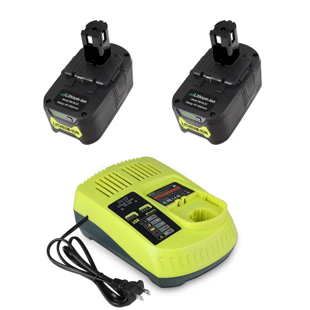 6Ah-2pcs+Charger