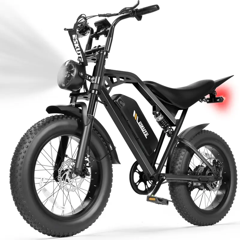 80 mph electric bicycle PUJH 2000W E-Bike Up to 80Mi 29