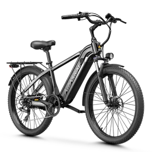 Aipas® C2 Max Xpress Ebike