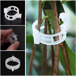 100pcs Plastic Plant Clips Supports Connects Reusable Protection Grafting Fixing Tool Plant Strapping Tool Gardening Supplies for Vegetable Tomato