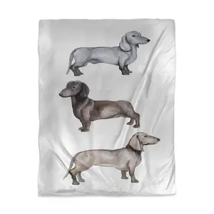 360 Stand Scandinavian Dachshund Twin Size Duvet Cover - Microfiber Face, Machine Washable, for Twin Size Beds, Minimalist Bedroom Bedding, Nordic Charm, Whimsical