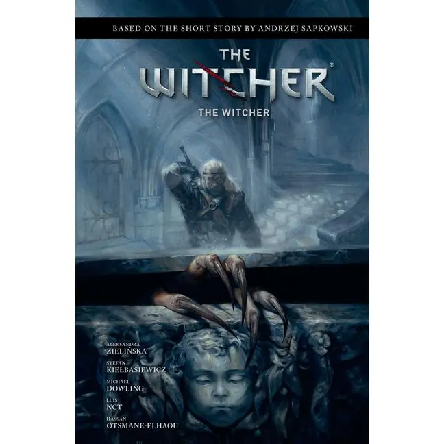 Andrzej Sapkowski's the Witcher: The Witcher (Hardcover)