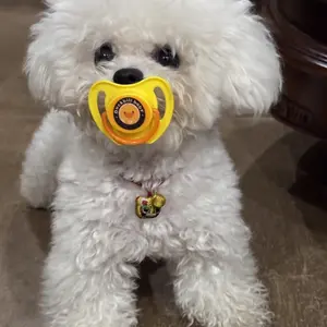 Dog Soothing Nipple, Dog Chew Toy, Teeth Grinding Relief, Sleeping Nipple, Suitable for Small Medium Dogs, Pet Comfort Accessory