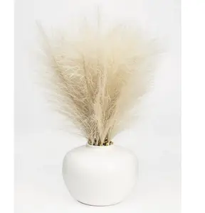 14in Artificial Pampas in White Rounded Ceramic Vase
