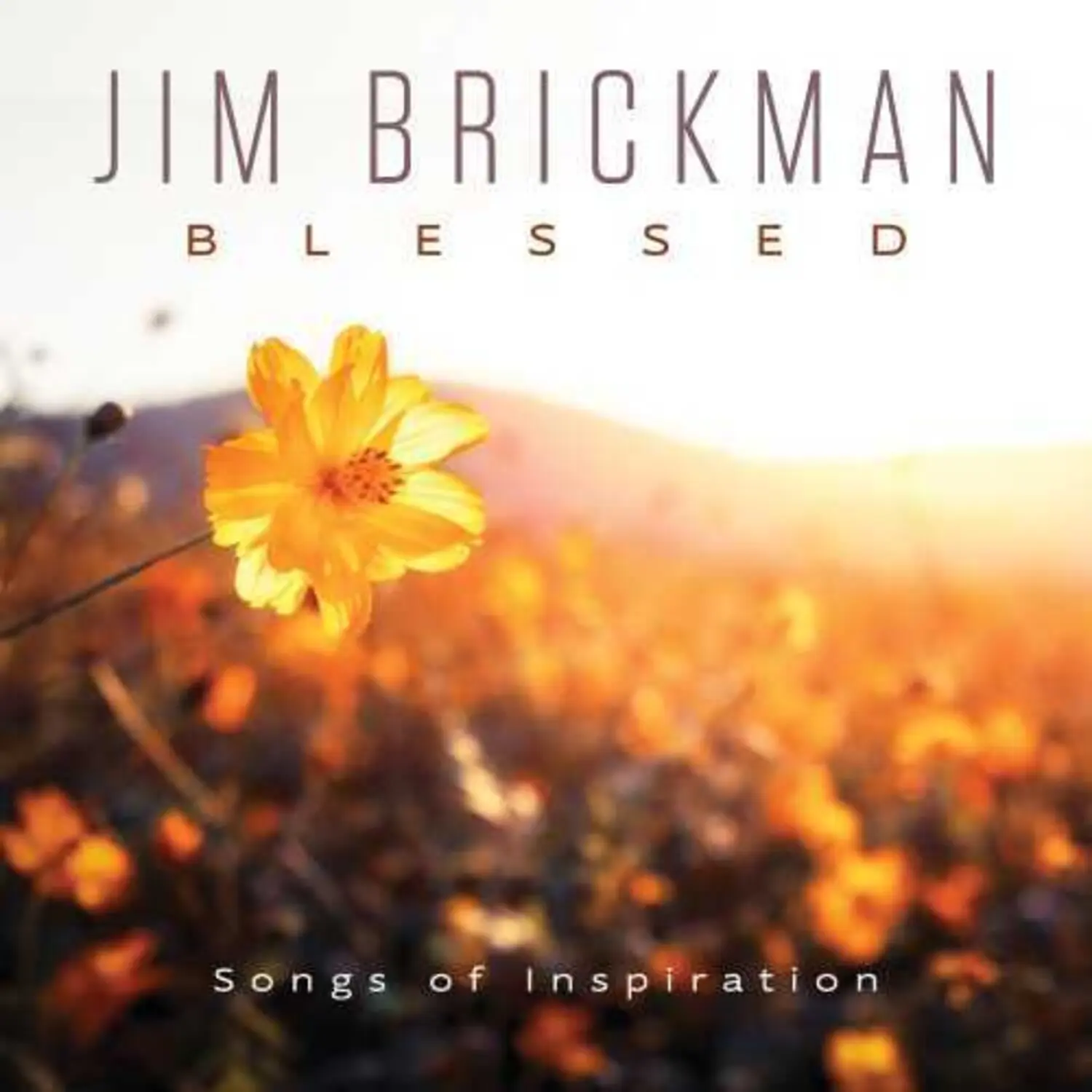 Jim Brickman - Blessed  [COMPACT DISC - CD]