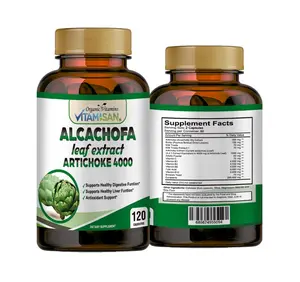 Artichoke Extract | 240 Capsules | Non-GMO & Gluten Free 2 BOTTLES Healthcare Vitamin Supplement