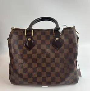 Pre-owned Louis Vuitton vcoated canvas Bucket bags Paramount PM