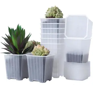 3 Inch Clear  Pots, 30 count Thick Plastic  Pot, Square Flower Planting Pots Variety Pack, Seedling Planter Starter Pots with Saucers for Garden