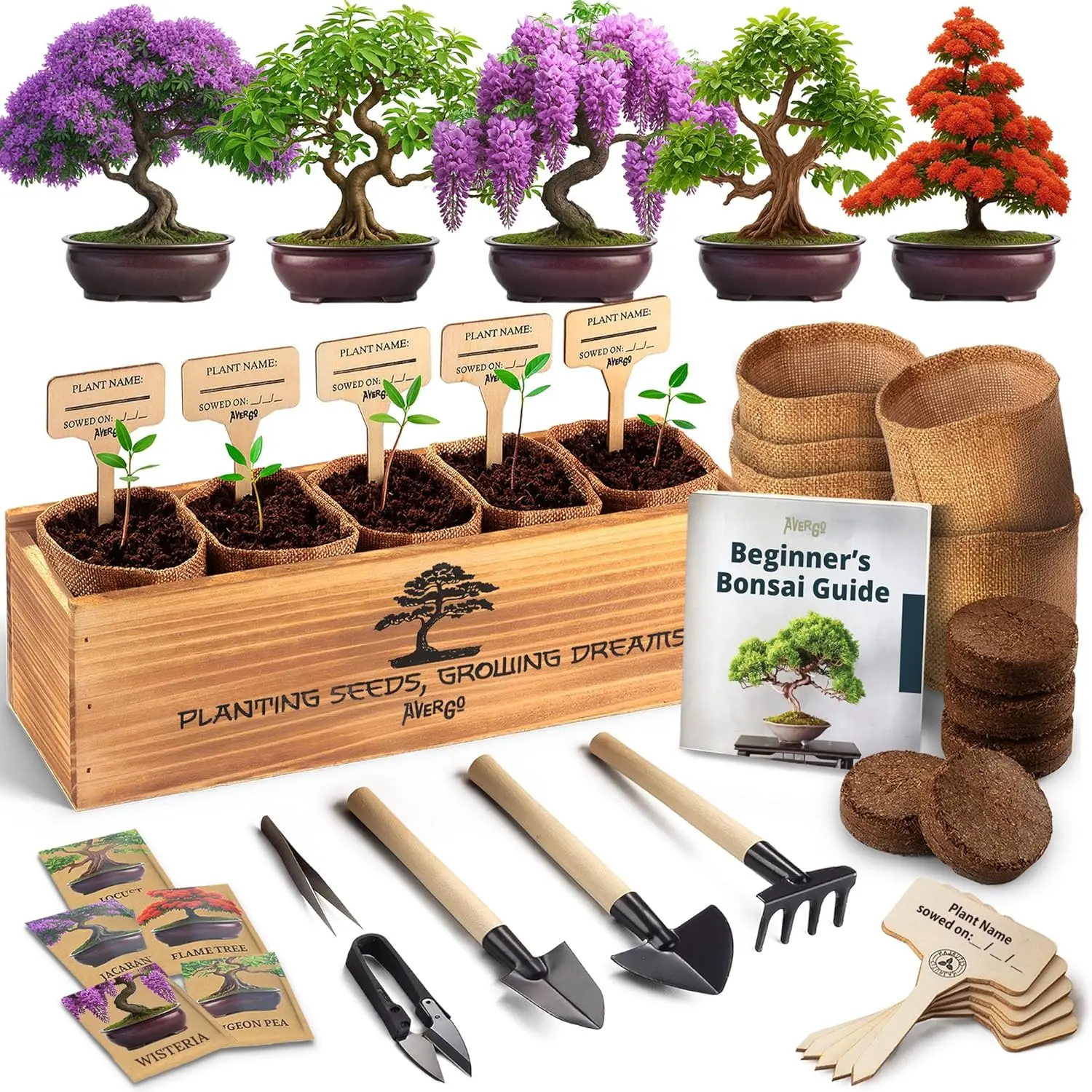 Bonsai Tree Kit for Beginners – 5X Unique Japanese Bonzai Trees, Complete Indoor Bonsai Starter Kit for Growing Bonsai Plants w/Tools & Planters – DIY Christmas Gardening Gifts for Women & Men