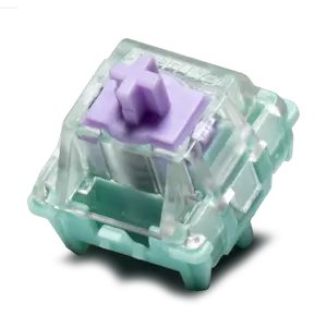 WS Dash HE Linear Switches