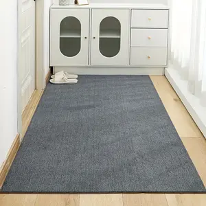 Non-Slip Rubber Backed Door Mat, Durable & Fast Absorbent Entryway Rug, Easy Clean Long Pile Brush Floor Pad, Contemporary Style
