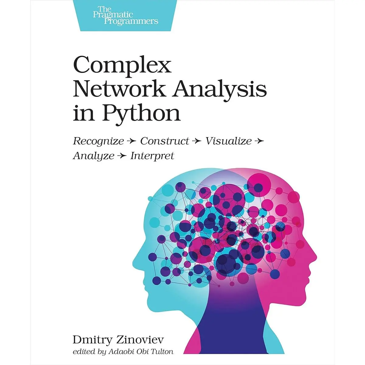 Complex Network Analysis in Python: Recognize - Construct - Visualize - Analyze - Interpret 1st Edition