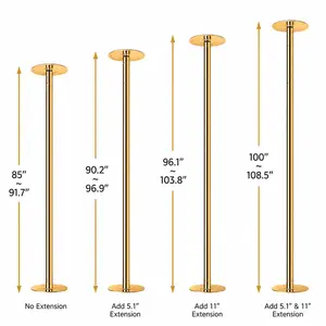 Professional Dance Pole Kit, Height Adjustable Spinning & Static Dance Pole, Heavy Duty Removable Fitness Pole for Home Gym, Studio and Stage Training