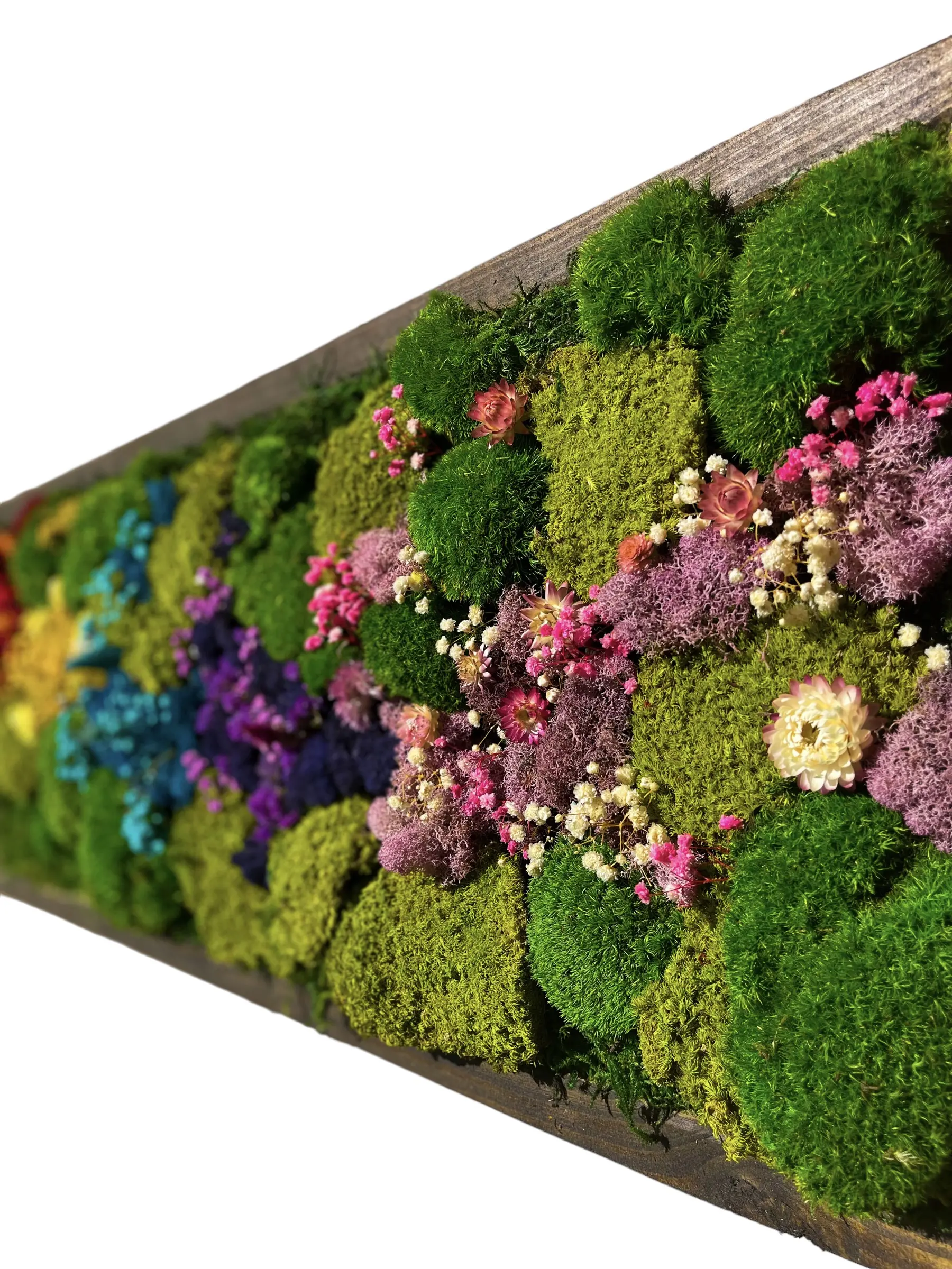 Wall Art Preserved Moss and Real Dried Flowers