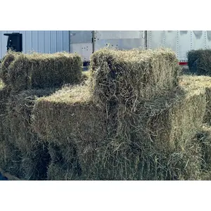 Hay Bales