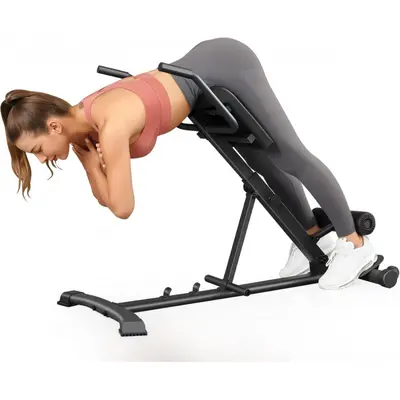 Sit Ups Roman Chair Leg Raise Alternative Roman Chair Leg Raise At - Main Image