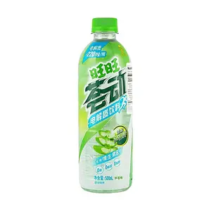WANT WANT Aloe Vera Electrolyte Drink 500ml - Hydrating & Refreshing with Vitamin B6