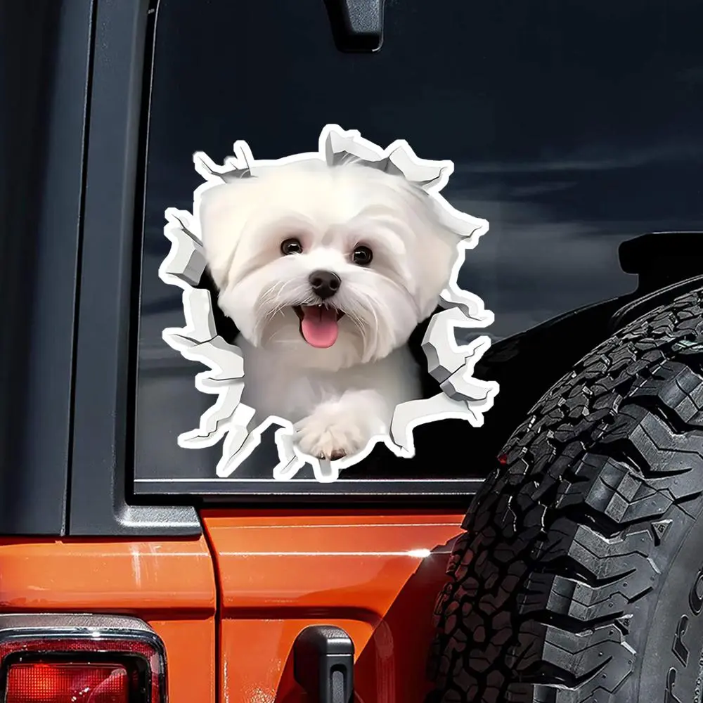 12x13cm Cute White Maltese Dog Waterproof Vinyl Car Decals for Windows, Bumper,Exterior Decorative Accessories, Blocking Sticker