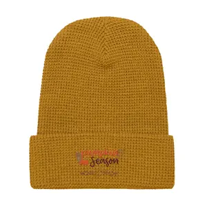 Pumpkin Season Waffle beanie