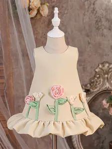 Baby Girl Clothes Infant Christening Cocktail 3D Floral Flower Dress Toddler Baptism Pageant Birthday Party Ball Gown Princess Dress for all Season 6 Months to 3 Years