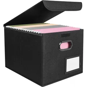 File Organizer Box with Lid, Collapsible File Folder Organizer with Plastic Slide, Hanging File Folder Box for Office Document Storage (1 Pack, Black)