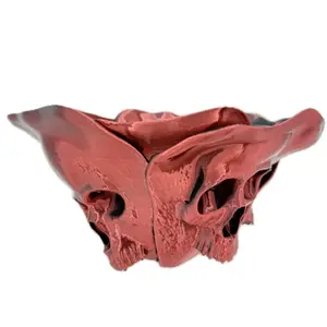 The Forbidden Rose Bowl                                                rose bowl Flower Decorative Gothic Decorative Bowl home decor