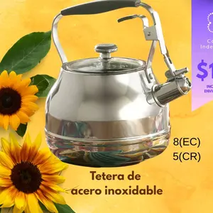 tetera de acero inoxidable