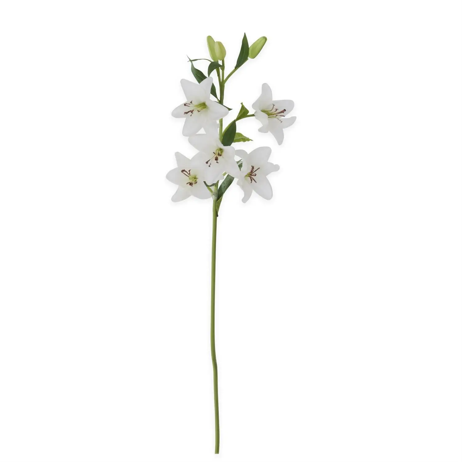 30 Inch White Real Touch Lily 5 Blooms & 3 Buds S