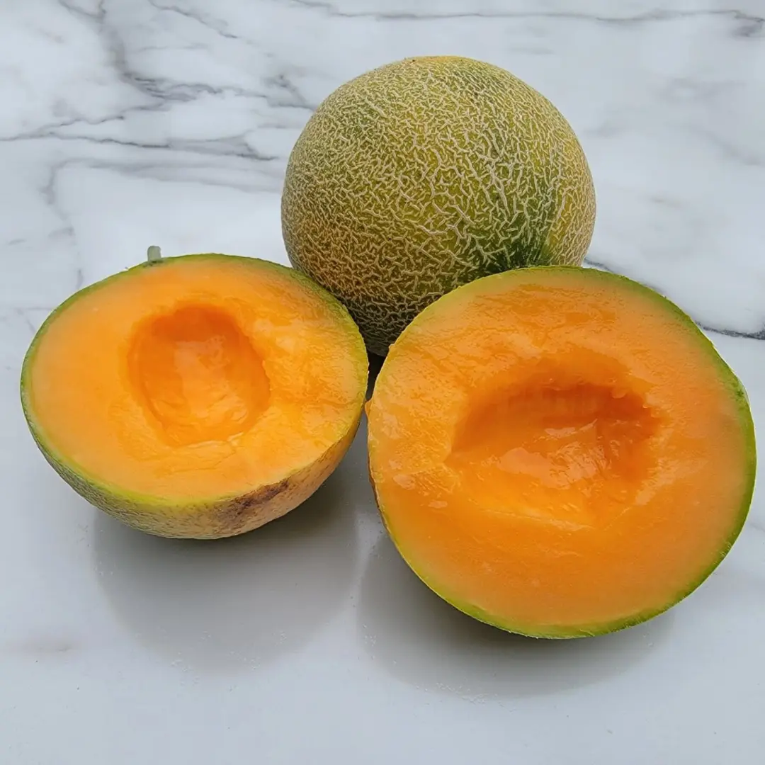 Minnesota Midget Cantaloupe Seeds (Cucumis melo 'Minnesota Midget') – Compact Plant, Small Fruits, Sweet and Flavorful, Perfect for Small Gardens – 10+ Seeds