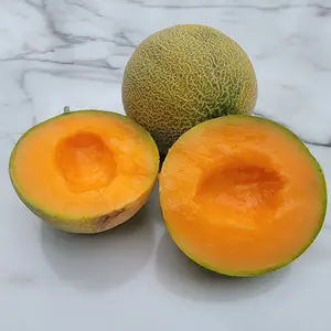 Minnesota Midget Cantaloupe Seeds (Cucumis melo 'Minnesota Midget') – Compact Plant, Small Fruits, Sweet and Flavorful, Perfect for Small Gardens – 10+ Seeds