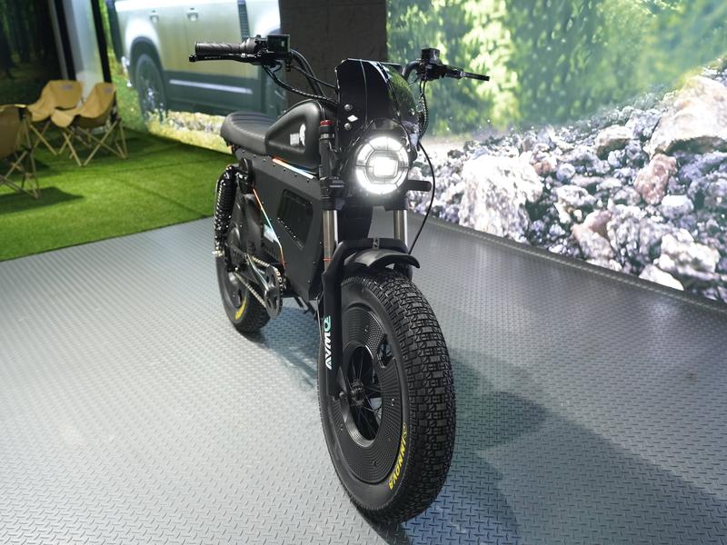 OWAY Black Warrior electric bicycle sk-1 ultra 3000W 60v 50ah High Speed Long Range 62mile high fatebike