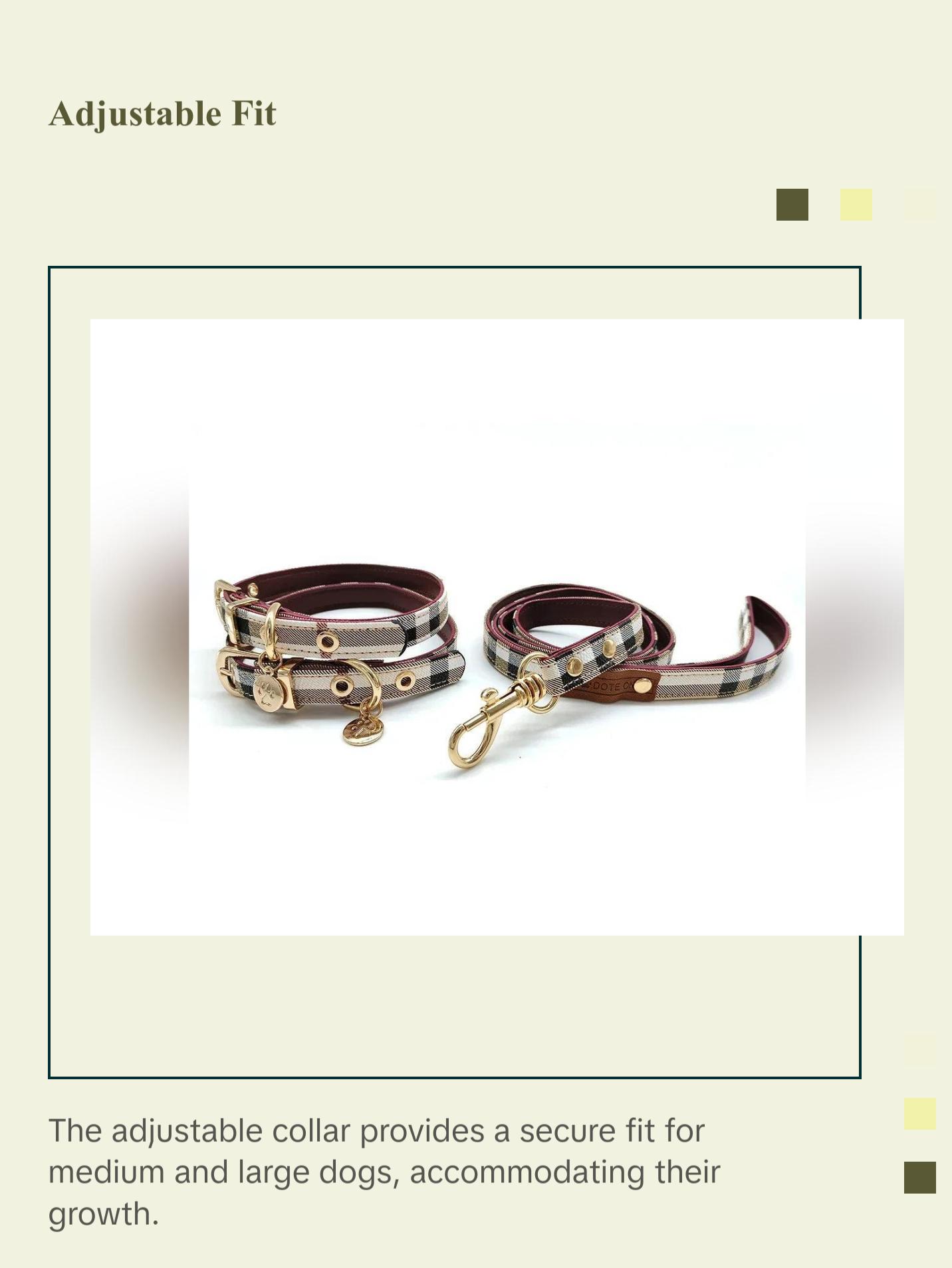 Leather Pet Collar and Leash Set