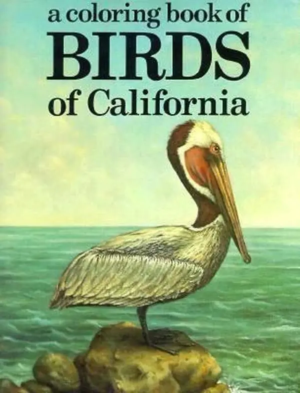 USED Book - Birds of California [Coloring Book] by John G. T. Anderson (Paperback) - english