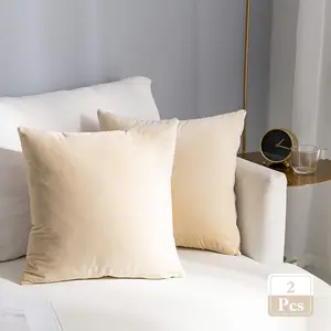 2 Pc Faux Throw Pillow Covers Soft Fur Fuzzy Cozy Decorative Pillowcase Set Cushion Cases Pillow cases for Sofa Bedroom 45x45cm