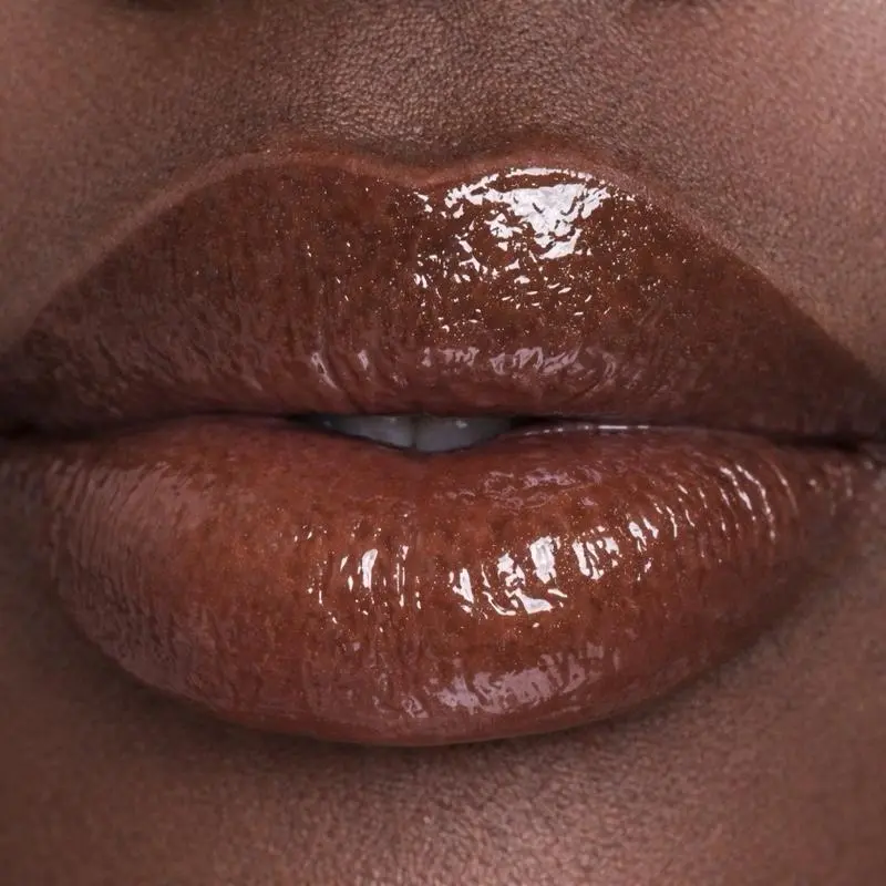 Sneaky Cocoa - Rich Brown Lipstick for Bold Glossy Finish Smooth & Rich Natural Look Lipgloss Makeup Bouncy Lip Gloss Lip Product Lip Care