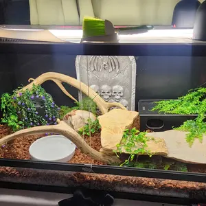 4x2x2 (120 Gallon) Reptile Enclosure V3