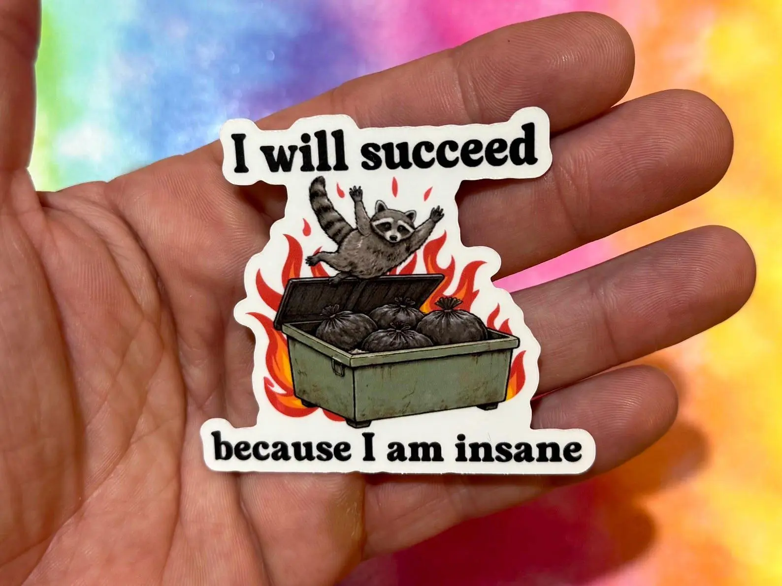 I will succeed because I am insane Sticker, Trendy Meme, Funny Racoon, This is fine, mental health humor, planner, trash panda, dumpster fire meme