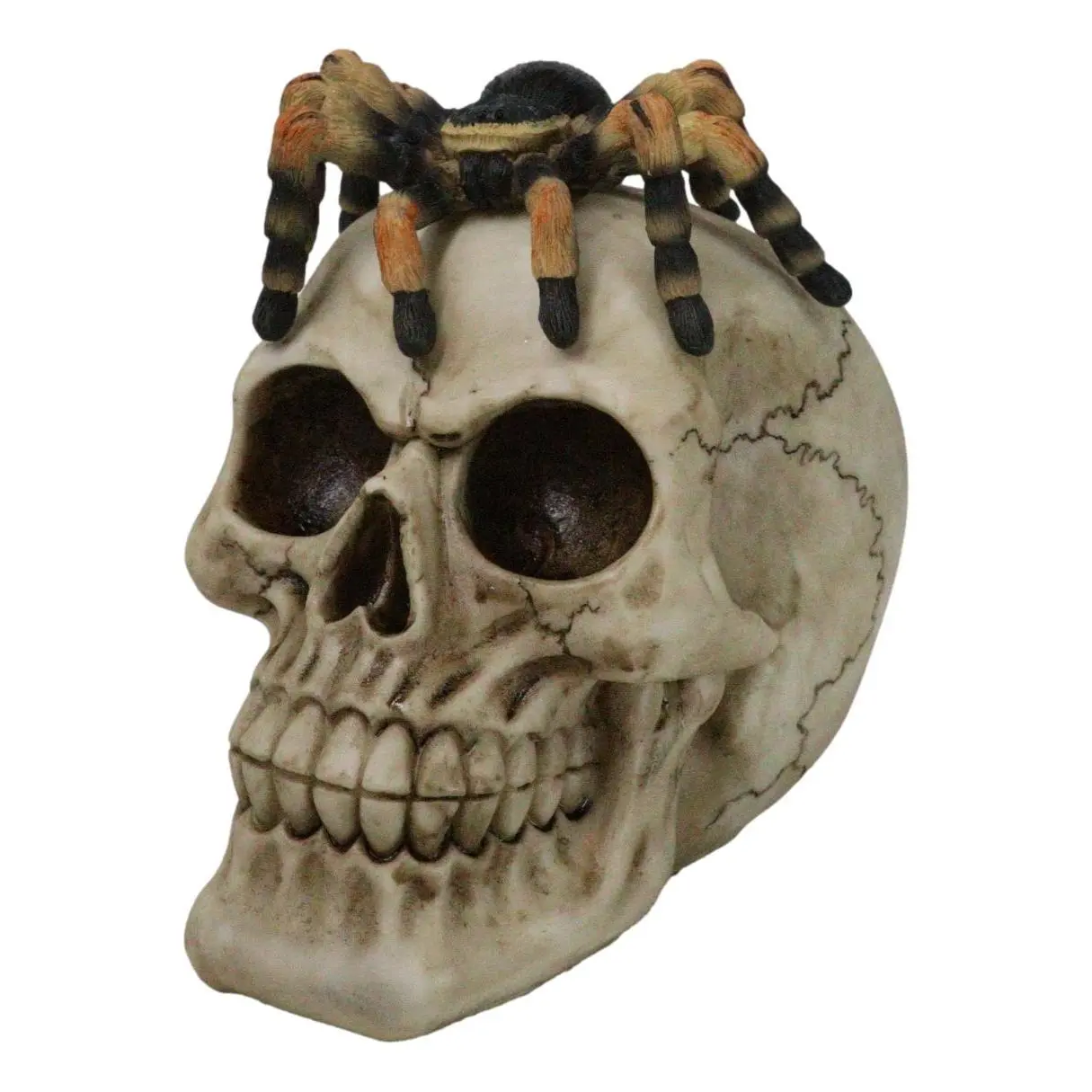 Halloween Macabre Creepy Crawler Tarantula Arachnid Spider On Skull Figurine