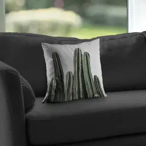 Begin Home Decor C1PC1414O844LX 14 x 14 in. Desert Candle Cactus - Exotic Livingroom Throw for Home Decor