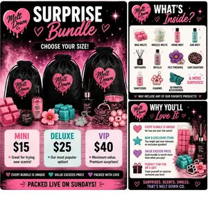 Melt Down Co. Curated Deluxe Wax Melts Surprise Bag - VIP Edition Aromatherapy Mini Bundle, Includes 1 Accessory, All-Season Office Stationery & Supplies Gift (Curated Bags Surprise Mix)