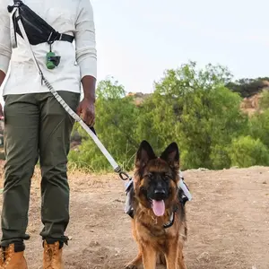 Adventure Pack for Outdoor Play and Fun - Great for Pet Owners