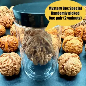 WenWan Walnuts - Randomly Picked 1 Pair (1) Pair for Beginners - 38mm-45mm - Includes Gloves, Nano Brush & Storage Bottle - Ships in 48 Hours