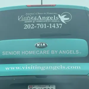 Customs Car Stickers
