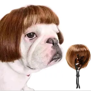 Dog Costume Cat Clothes Toys Curly Braids Wig Headpiece Cute Funny Pet Hair Accessories Halloween Decoration. Perfect for parties and photo shoots, this lightweight, comfortable wig adds a hilarious touch to your pet's look. Durable and stylish!