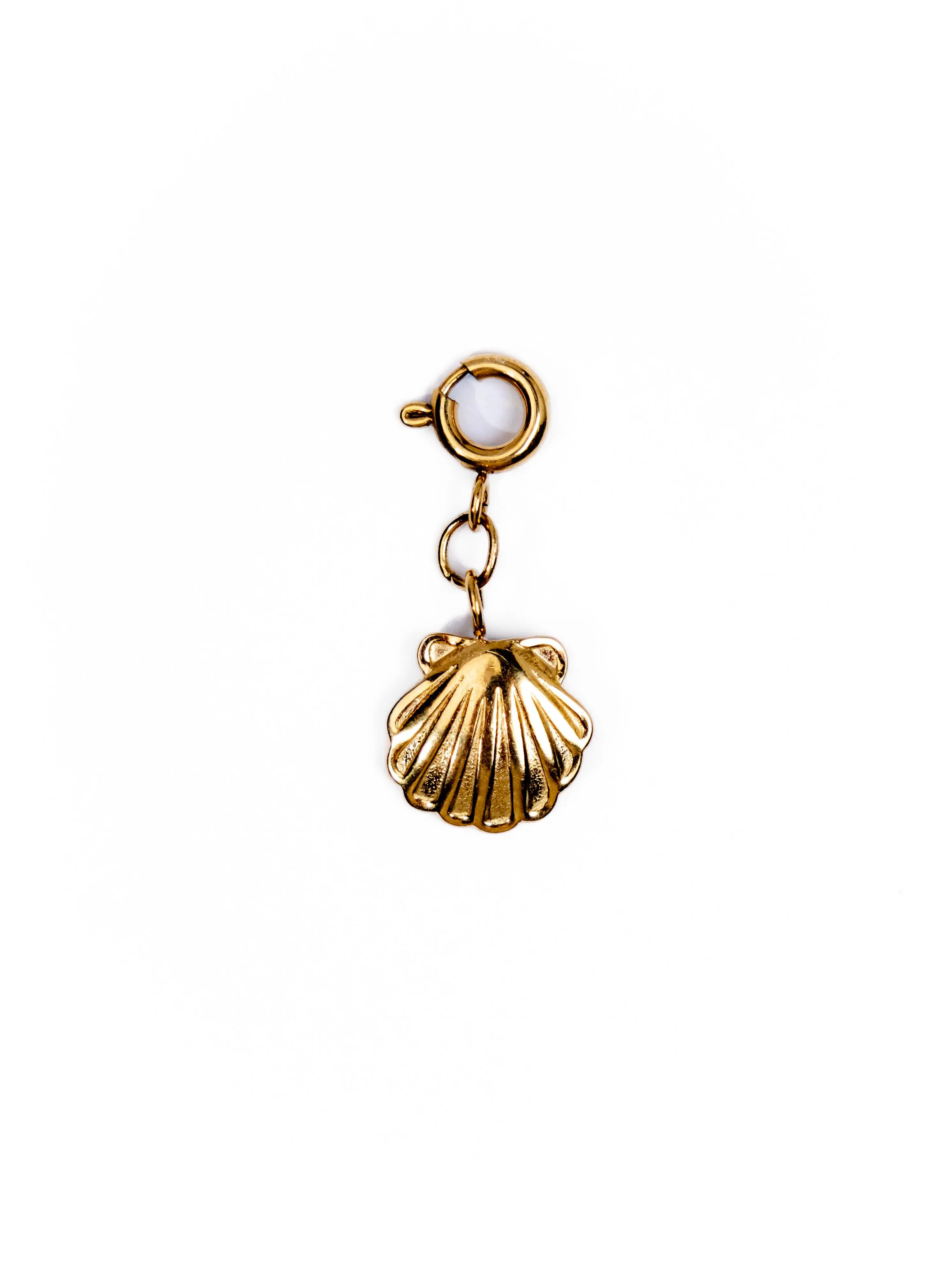 Waterproof Seashell Charm