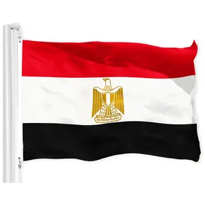 Egypt (Egyptian) Flag Printed Polyester 3x5 Ft