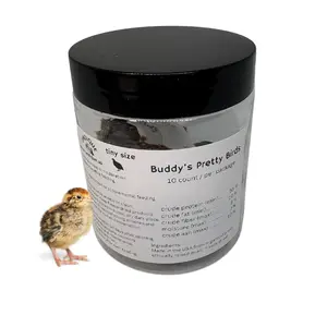 Quail Whole Chick Treats, 10 Count - Tiny, dehydrated Small Premium cat and Dog Treat